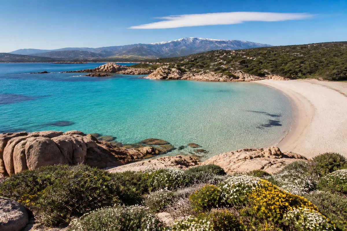 Plage corse déserte en avant-saison avec eau turquoise et maquis en fleurs